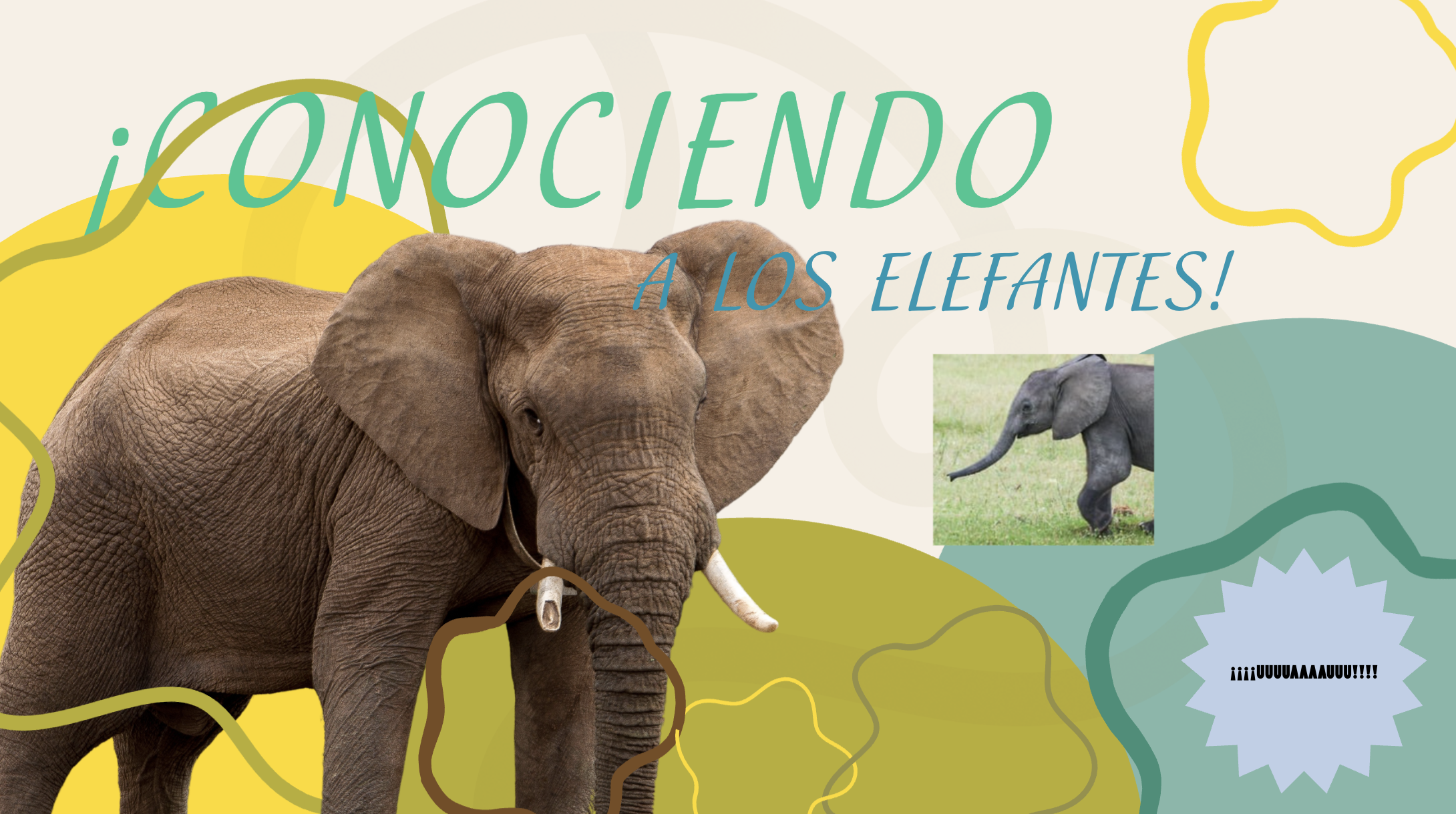 Conociendo a los Elefantes